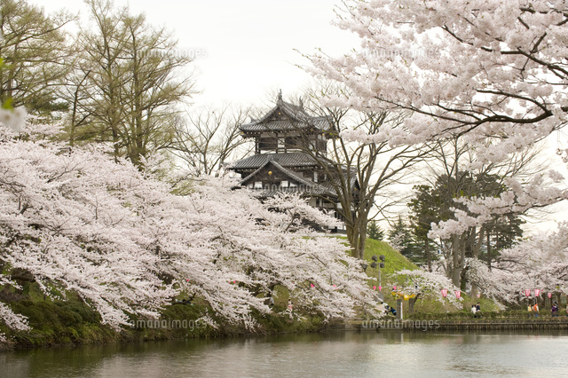桜と高田城三重櫓
(c)NIIGATA PHOTO LIBRARY/SEBUN PHOTO