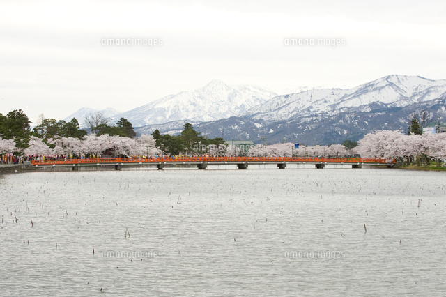 桜と西堀橋
(c)NIIGATA PHOTO LIBRARY/SEBUN PHOTO