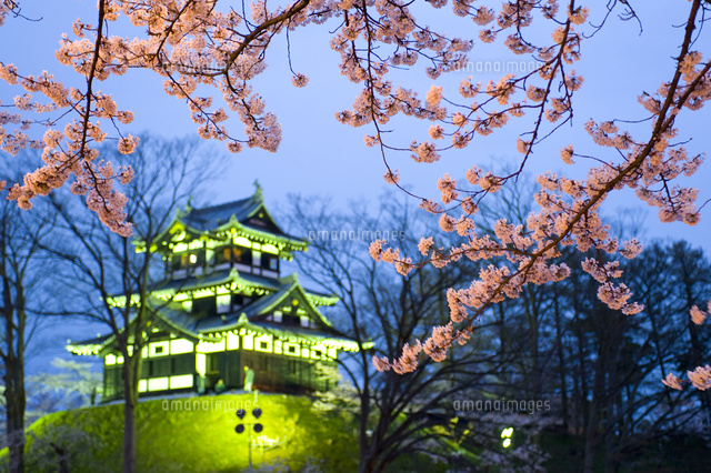桜と高田城三重櫓のライトアップ
(c)NIIGATA PHOTO LIBRARY/SEBUN PHOTO