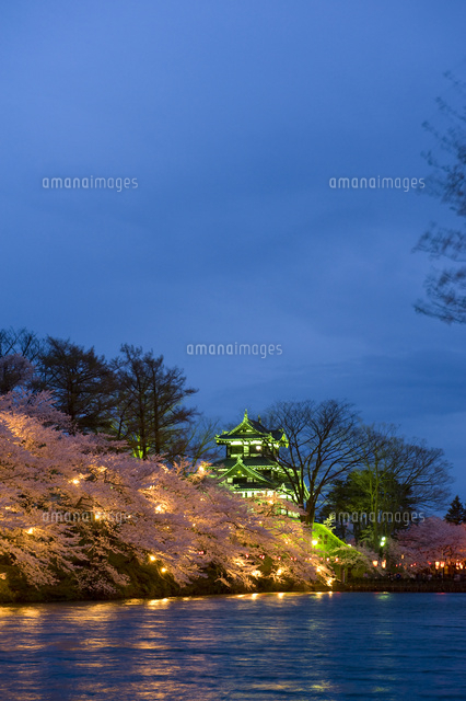 桜と高田城三重櫓のライトアップ
(c)NIIGATA PHOTO LIBRARY/SEBUN PHOTO