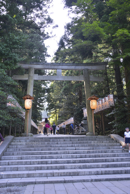 弥彦神社の鳥居
(c)NIIGATA PHOTO LIBRARY/SEBUN PHOTO