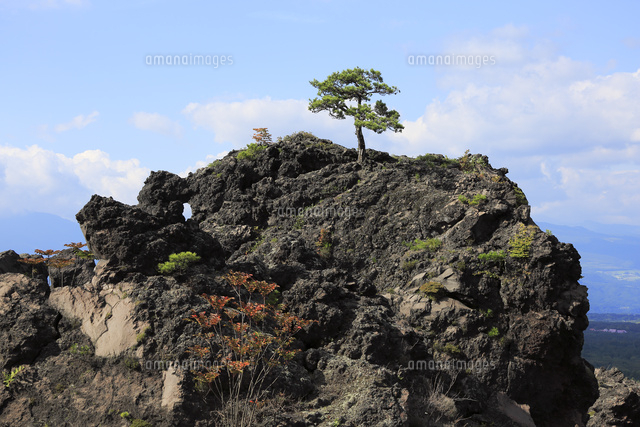 鬼押出し園の溶岩
(c)NIIGATA PHOTO LIBRARY/SEBUN PHOTO