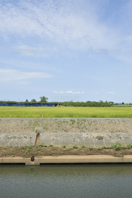 農業用水路
(c)NIIGATA PHOTO LIBRARY/SEBUN PHOTO