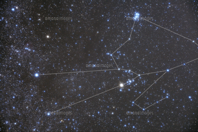 満天の星空と牡牛座
(c)NIIGATA PHOTO LIBRARY/SEBUN PHOTO