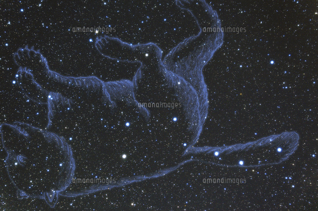 満天の星空とおおぐま座と北斗七星
(c)NIIGATA PHOTO LIBRARY/SEBUN PHOTO