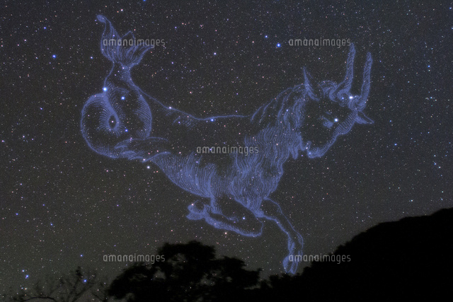 満天の星空と山羊座
(c)NIIGATA PHOTO LIBRARY/SEBUN PHOTO