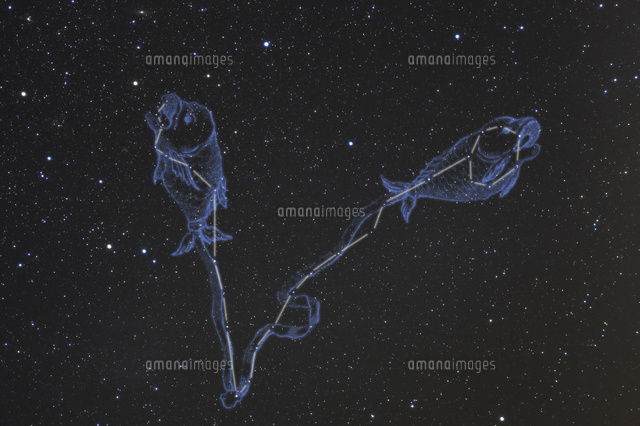 満天の星空と魚座
(c)NIIGATA PHOTO LIBRARY/SEBUN PHOTO