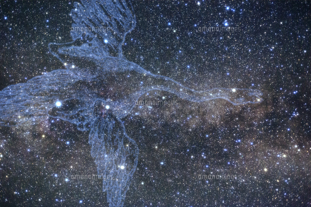 満天の星空と白鳥座
(c)NIIGATA PHOTO LIBRARY/SEBUN PHOTO