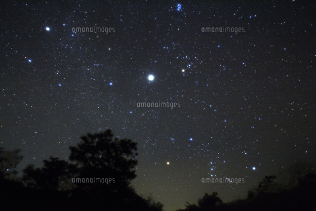 満天の星空と冬の星座たち
(c)NIIGATA PHOTO LIBRARY/SEBUN PHOTO