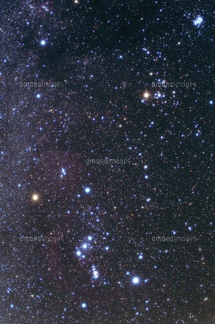 満天の星空とオリオン座と牡牛座
(c)NIIGATA PHOTO LIBRARY/SEBUN PHOTO