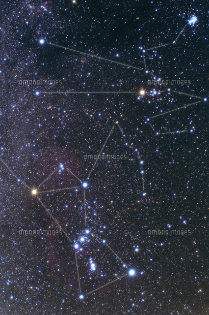 満天の星空とオリオン座と牡牛座
(c)NIIGATA PHOTO LIBRARY/SEBUN PHOTO