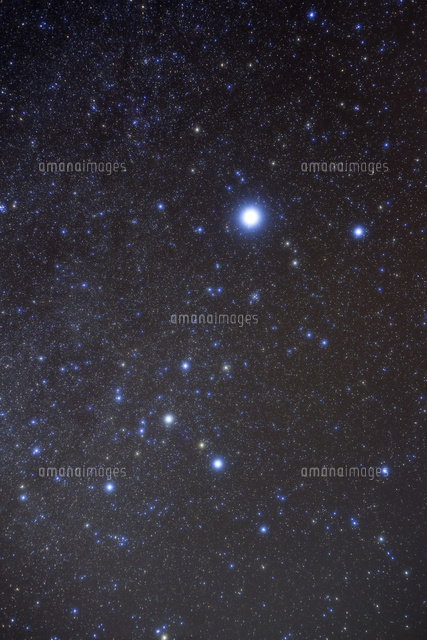 満天の星空とおおいぬ座
(c)NIIGATA PHOTO LIBRARY/SEBUN PHOTO