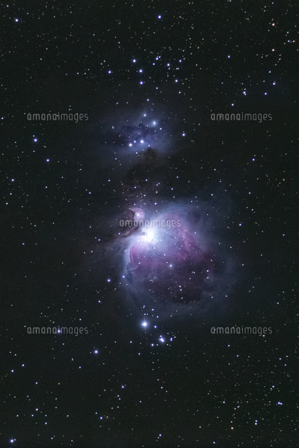 満天の星空とオリオン大星雲
(c)NIIGATA PHOTO LIBRARY/SEBUN PHOTO