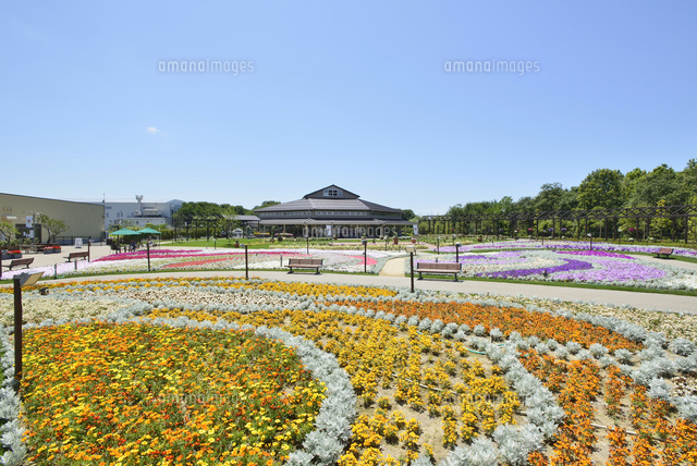 いくとぴあ食花のキラキラガーデン
(c)NIIGATA PHOTO LIBRARY/SEBUN PHOTO