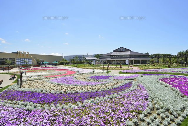 いくとぴあ食花のキラキラガーデン
(c)NIIGATA PHOTO LIBRARY/SEBUN PHOTO