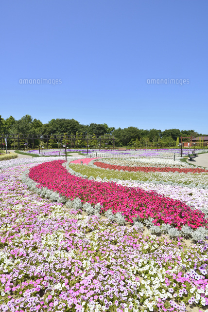 いくとぴあ食花のキラキラガーデン
(c)NIIGATA PHOTO LIBRARY/SEBUN PHOTO