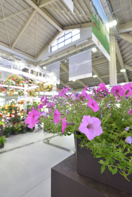 いくとぴあ食花の室内ガーデン
(c)NIIGATA PHOTO LIBRARY/SEBUN PHOTO