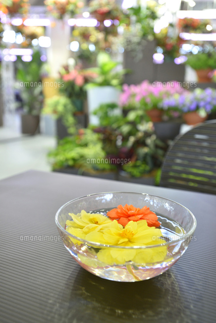 いくとぴあ食花の室内ガーデン
(c)NIIGATA PHOTO LIBRARY/SEBUN PHOTO