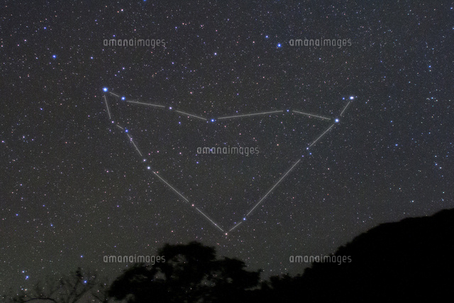 満天の星空と山羊座
(c)NIIGATA PHOTO LIBRARY/SEBUN PHOTO