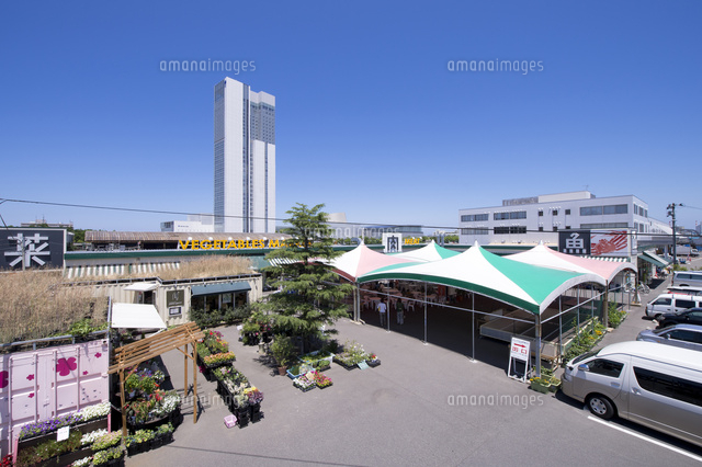 万代島のにぎわい市場ピアBandai
(c)NIIGATA PHOTO LIBRARY/SEBUN PHOTO