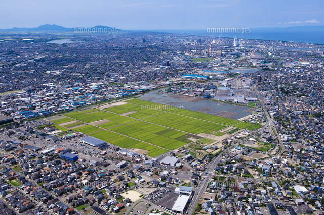 通船川の貯木場周辺の空撮
(c)NIIGATA PHOTO LIBRARY/SEBUN PHOTO