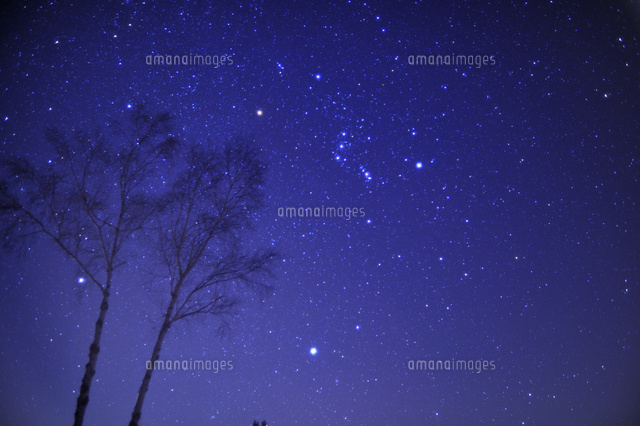 満天の星空
(c)NIIGATA PHOTO LIBRARY/SEBUN PH