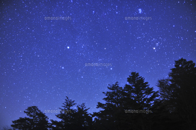 満天の星空
(c)NIIGATA PHOTO LIBRARY/SEBUN PH