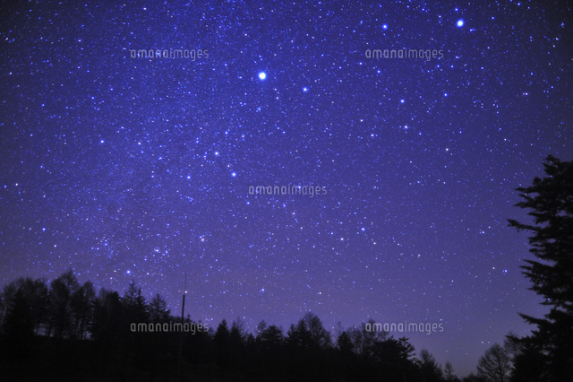 満天の星空
(c)NIIGATA PHOTO LIBRARY/SEBUN PH