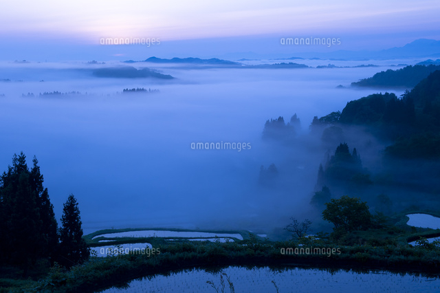朝もやと田園風景
(c)NIIGATA PHOTO LIBRARY/SEBUN PHOTO
