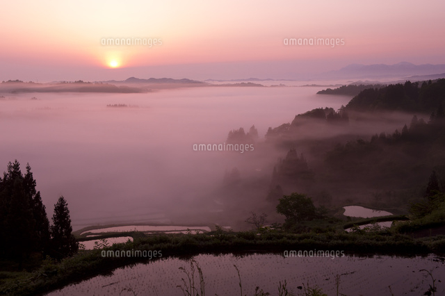 朝もやと田園風景
(c)NIIGATA PHOTO LIBRARY/SEBUN PHOTO