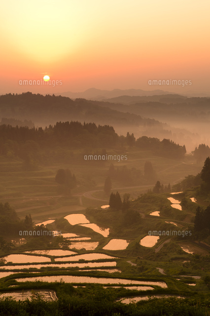 朝もやと棚田
(c)NIIGATA PHOTO LIBRARY/SEBUN PHOTO
