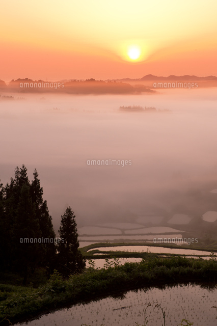 朝もやと田園風景
(c)NIIGATA PHOTO LIBRARY/SEBUN PHOTO