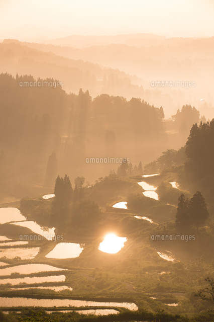 朝もやと棚田
(c)NIIGATA PHOTO LIBRARY/SEBUN PHOTO