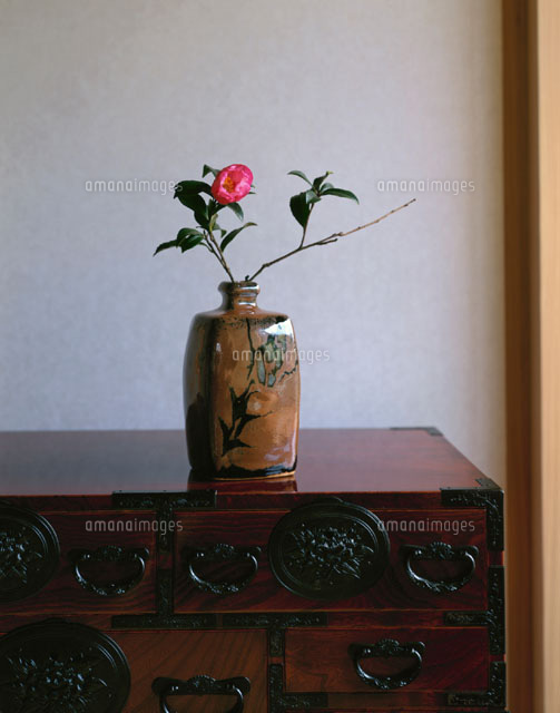 仙台タンスと山茶花
(c)KAZUO OGAWA/orion