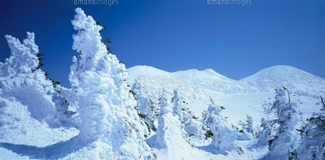 樹氷と八甲田山 青森県
(c)KAZUO OGAWA/orion