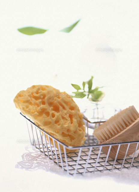 バス用品 ブラシとカイメン
(c)KAZUO OGAWA/orion