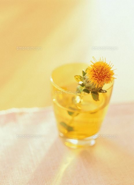 ベニ花
(c)KAZUO OGAWA/orion