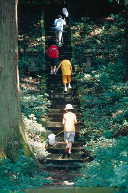 虫捕りをする4人の日本人の男の子
(c)KAZUO OGAWA/orion