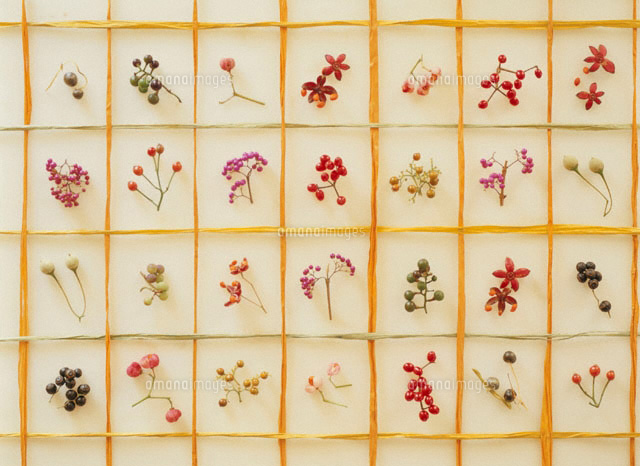 多種の花の実(暖色) クラフト
(c)KAZUO OGAWA/orion