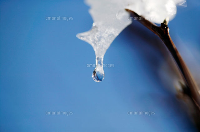 水滴
(c)KAZUO OGAWA/orion