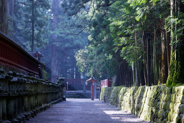 東照宮の二荒山神社参道 日光市 栃木県
(c)KAZUO OGAWA/orion
