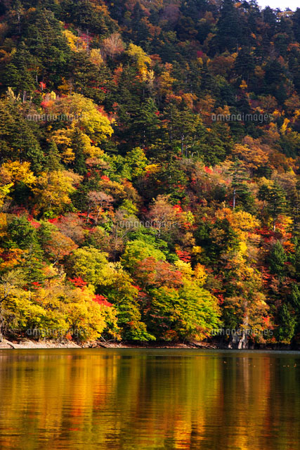 秋の西ノ湖と紅葉
(c)KAZUO OGAWA/orion