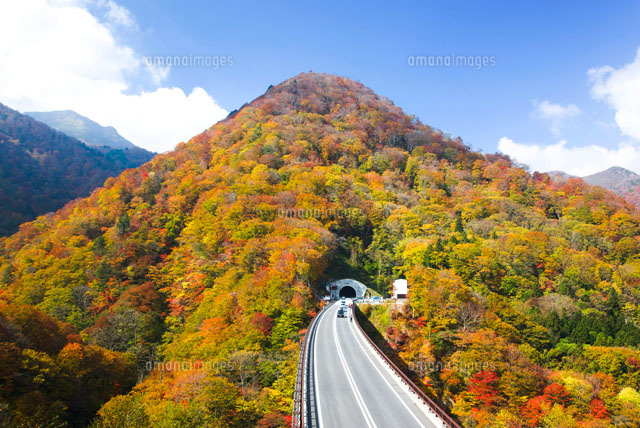 甲子大橋と甲子トンネル 紅葉の山
(c)KAZUO OGAWA/orion