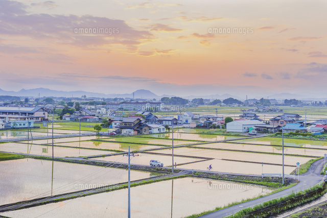 田植えを終えた夕暮れの田園と農道
(c)KAZUO OGAWA/SEBUN PHOTO