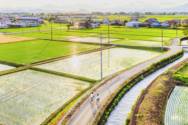 初夏の田と農道
(c)KAZUO OGAWA/SEBUN PHOTO