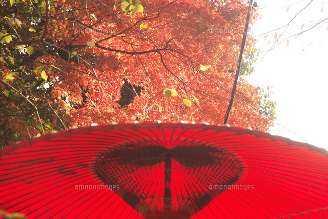 武蔵野の四季深大寺紅葉
(c)TOSHIAKI OKAMURA/SEBUN PHOTO