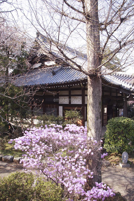 武蔵野の四季花の寺
(c)TOSHIAKI OKAMURA/SEBUN PHOTO