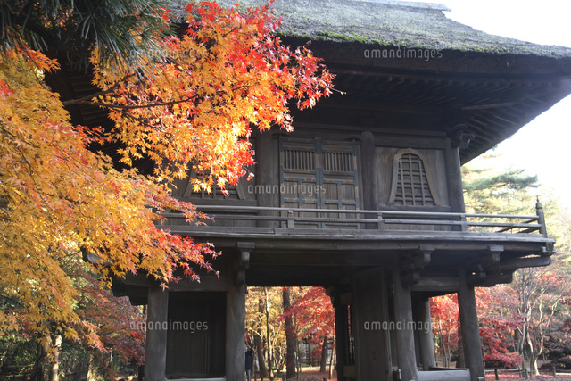 武蔵野の四季紅葉の平林寺山門
(c)TOSHIAKI OKAMURA/SEBUN PHOTO