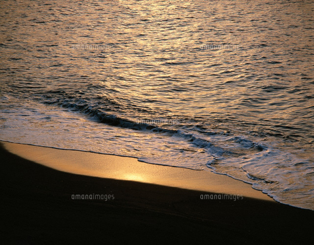 黄金色の海辺
(c)TAKAO ONOZATO/orion