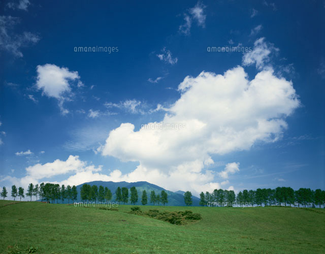 夏の蒜山高原の風景 岡山県
(c)TAKAO ONOZATO/orion